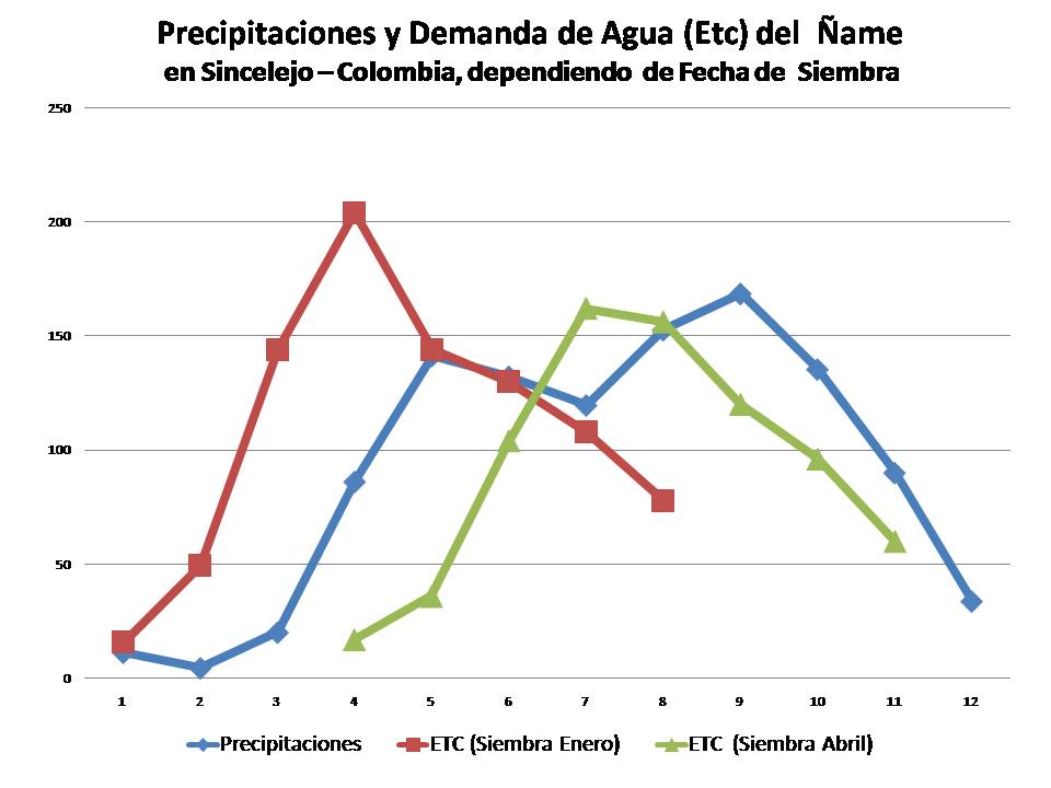 La demanda de agua cambia en el cultivo de ñame  dependiendo de la fecha de siembra